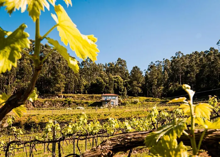 Hébergement de vacances Casa Da Cardenha